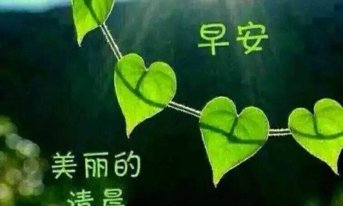 山东省中医院药材是真的吗-山东省中医院中药采购-专业山东中医药招标采购平台官网入口平台-山东省中医院药材是真的吗